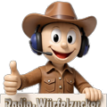 Das Logo von laut.fm Radio Wuerfelzucker