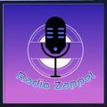 Das Logo von laut.fm Radiozappel