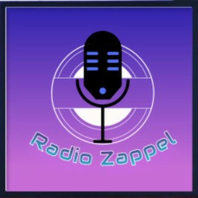 Stationsbild radiozappel