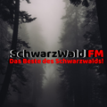 Das Logo von laut.fm Schwarzwald FM