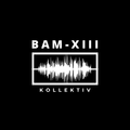 Das Logo von laut.fm BAM-XIII-Techno
