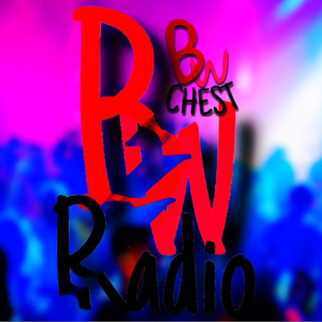 Stationsbild bw-chest-remix