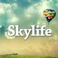Das Logo von laut.fm Skylife