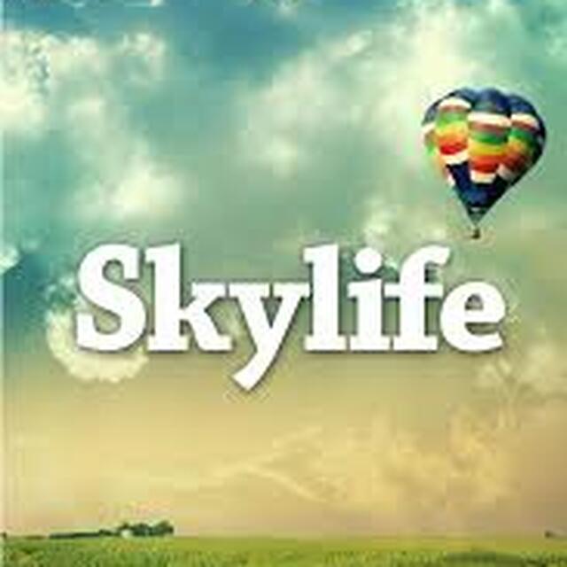 Stationsbild skylife