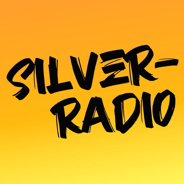 Stationsbild silver-radio