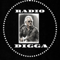 Das Logo von laut.fm Radio Digga