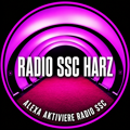 Das Logo von laut.fm Radio SSC