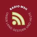 Das Logo von laut.fm Msh Ak 711