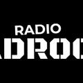 Das Logo von laut.fm Badrock Radio