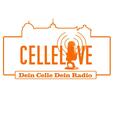 Das Logo von laut.fm Cellelive