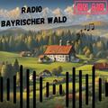 Das Logo von laut.fm Bayrischer Wald
