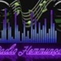 Das Logo von laut.fm Radio Hemmungslos