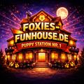 Das Logo von laut.fm Foxies Funhouse