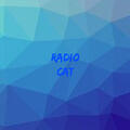 Das Logo von laut.fm Radiocat