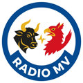 Das Logo von laut.fm Hardtiko