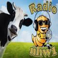 Das Logo von laut.fm NHW1