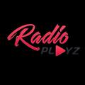 Das Logo von laut.fm Radioplayzde