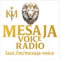 Das Logo von laut.fm Mesaja Voice