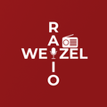 Das Logo von laut.fm Wzl Radio