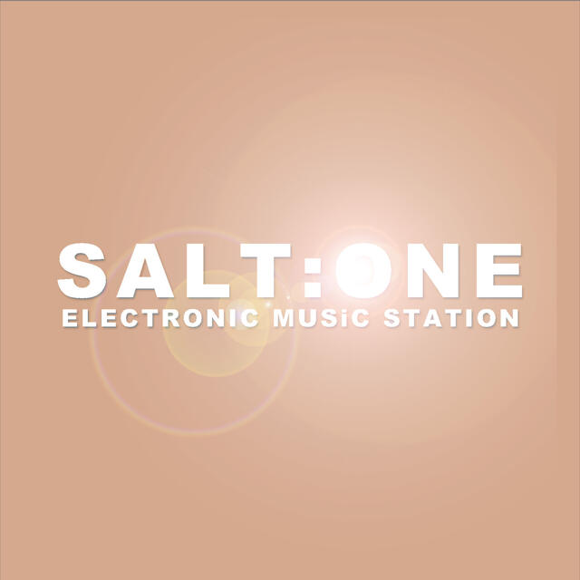Stationsbild salt-one