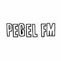 Das Logo von laut.fm Pegel FM