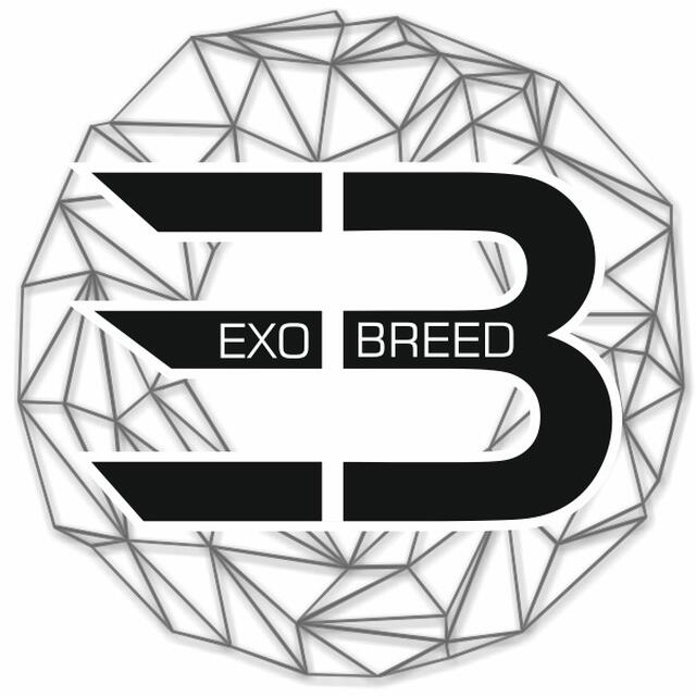 Stationsbild exo_breed