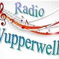 Das Logo von laut.fm Wupperwelle