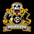 Das Logo von laut.fm Polecat Radio