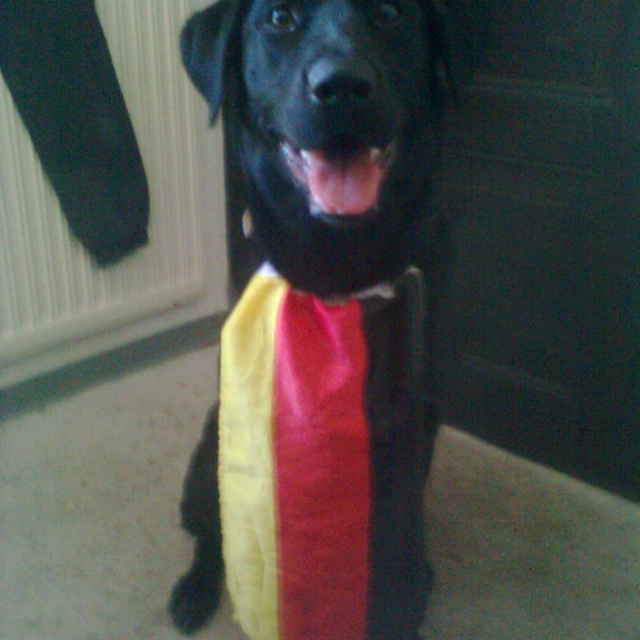 Stationsbild ostfriesenradio