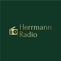 Das Logo von laut.fm Herrmann Radio