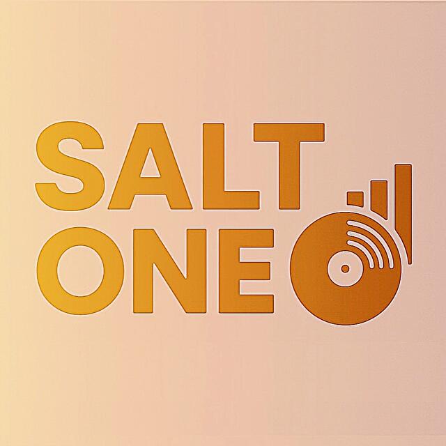Stationsbild salt-one
