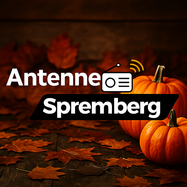 Stationsbild antenne-spremberg