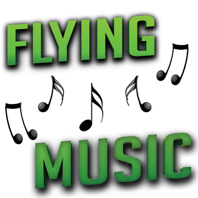 Stationsbild flyingmusic