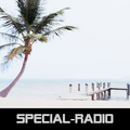 Das Logo von laut.fm Special-Radio