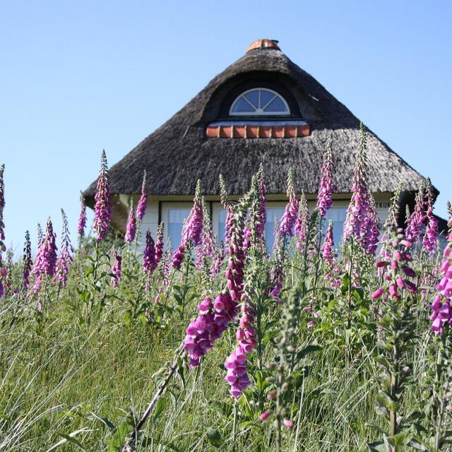 Stationsbild mariosmusikscheune