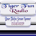 Das Logo von laut.fm Tigers Fun Radio