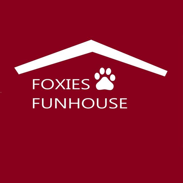 Stationsbild foxies_funhouse