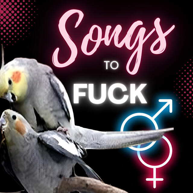 Stationsbild songs_to_fuck