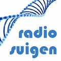 Das Logo von laut.fm Suigen