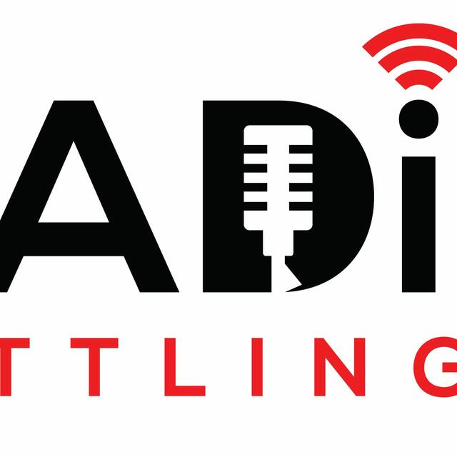 Stationsbild radiopuettlingen