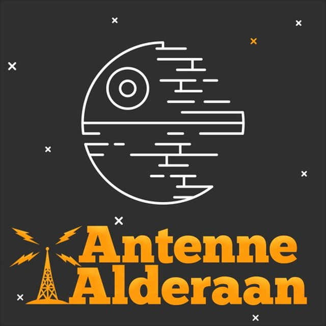 Stationsbild antennealderaan