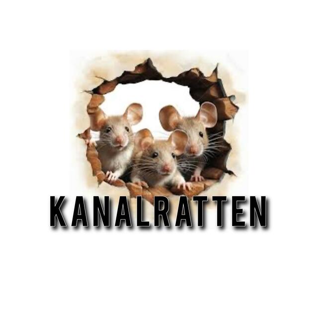 Stationsbild kanalratten