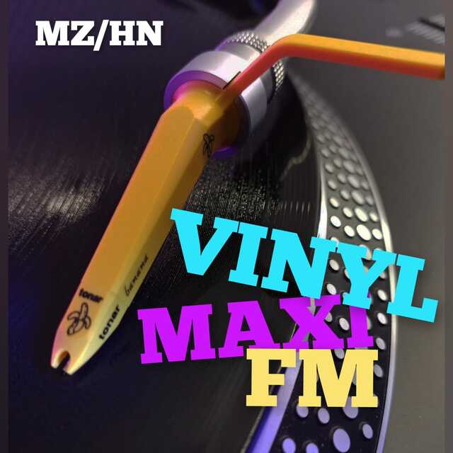 Stationsbild vinyl-maxi-fm