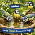 Das Logo von laut.fm meisenheimer-radio