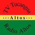 Das Logo von laut.fm altos