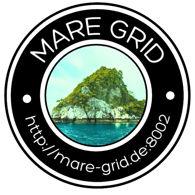 Stationsbild mare-grid