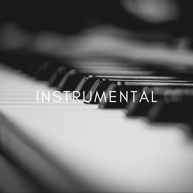 Stationsbild instrumental