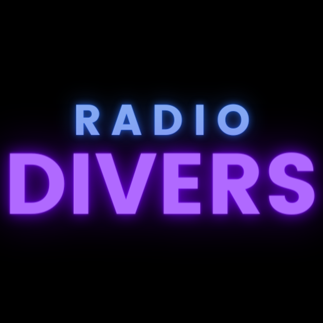 Stationsbild radio-divers