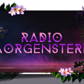 Das Logo von laut.fm Radiomorgenstern