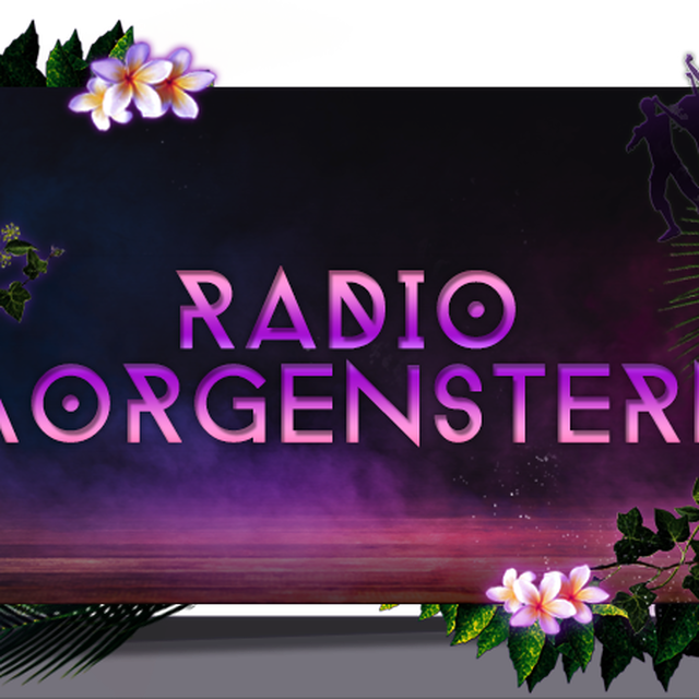 Stationsbild radiomorgenstern